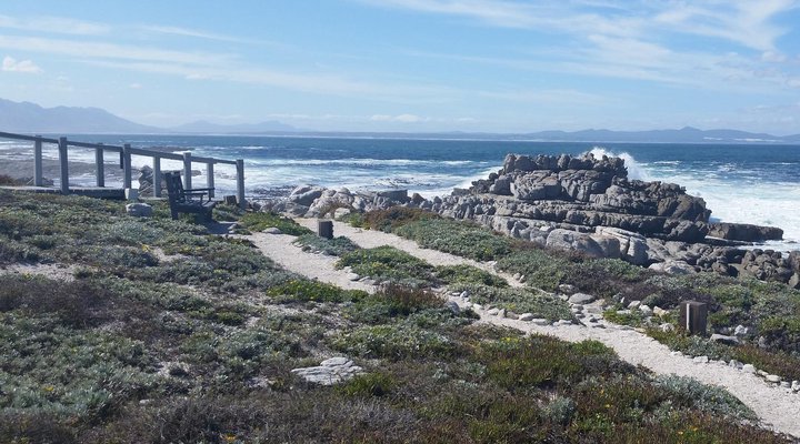 The Potting Shed Self Catering
