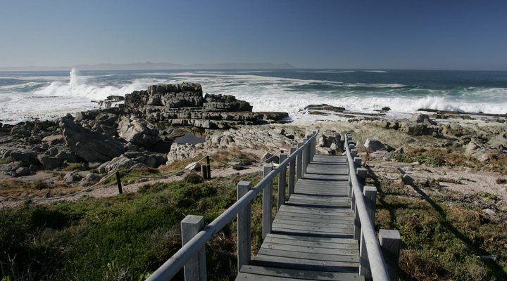 The Potting Shed Self Catering