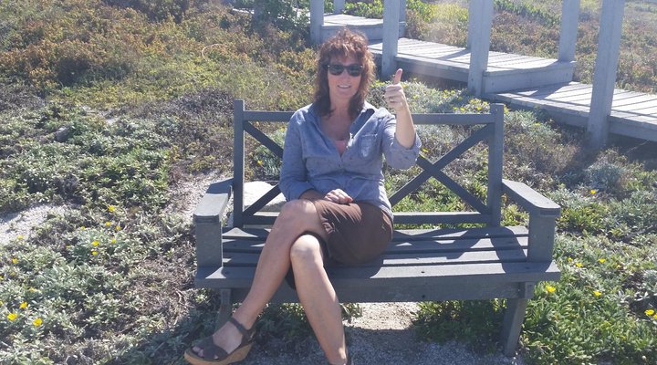 The Potting Shed Self Catering