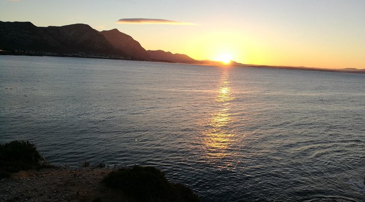 The Potting Shed Self Catering