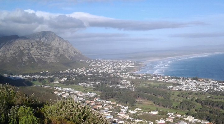 The Potting Shed Self Catering