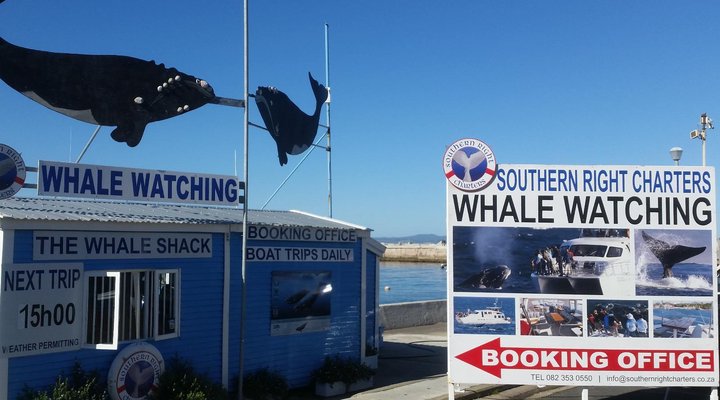 The Potting Shed Self Catering