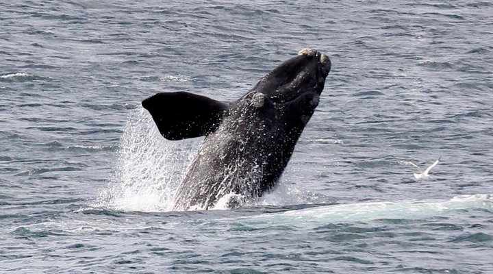 The Potting Shed Self Catering