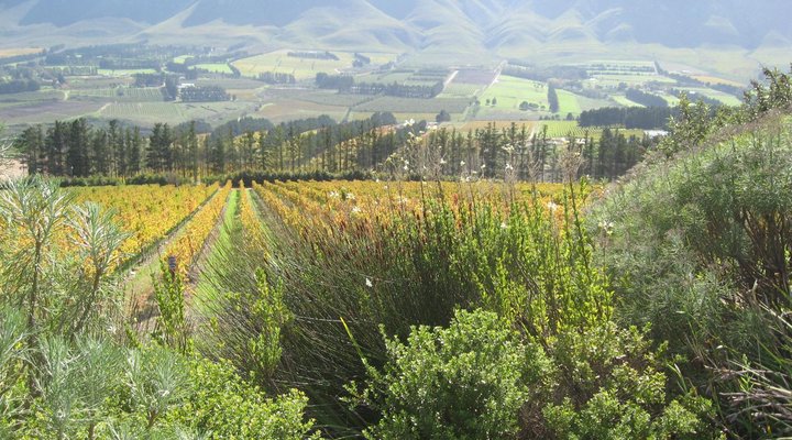 The Potting Shed Self Catering