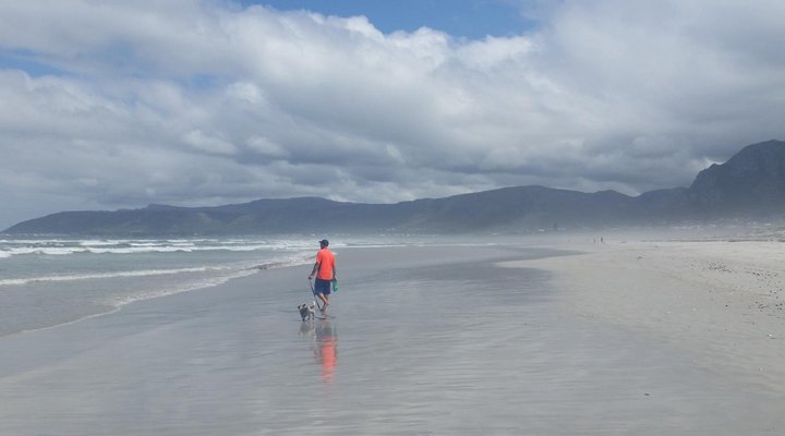 The Potting Shed Self Catering