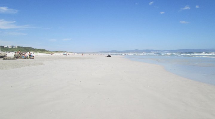 The Potting Shed Self Catering