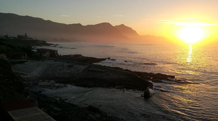 The Potting Shed Self Catering