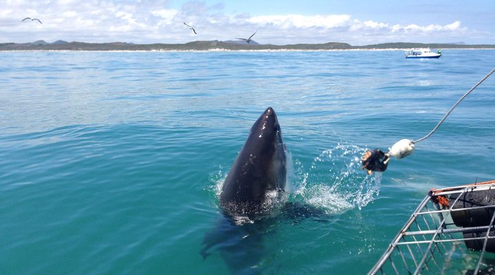 The Potting Shed Self Catering