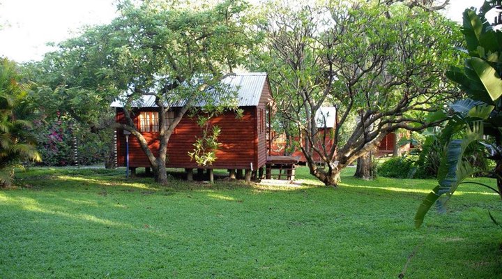 Crocodile Nest Bed and Breakfast