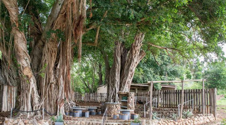 Chicane Bed and Breakfast