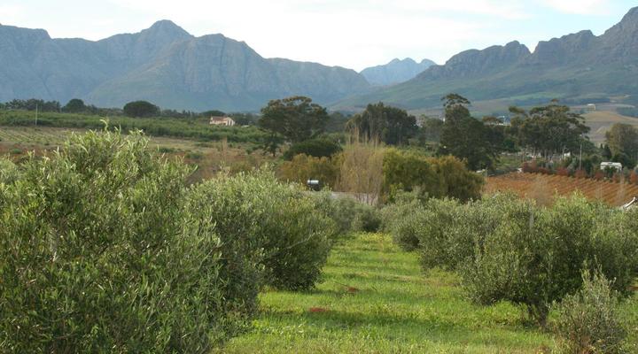 Klein Welmoed Guest House