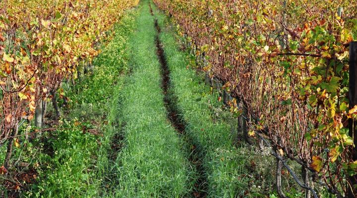 Klein Welmoed Guest House