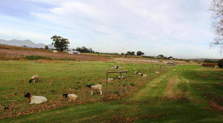 Klein Welmoed Guest House