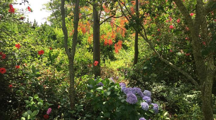 Klein Welmoed Guest House