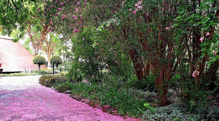 Haggards Hilldrop B & B