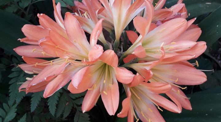 El Shadai Guest House Thabazimbi