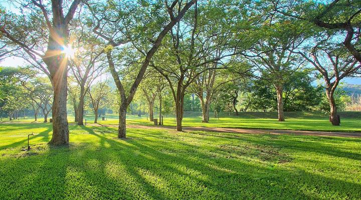 Elangeni Holiday Resort