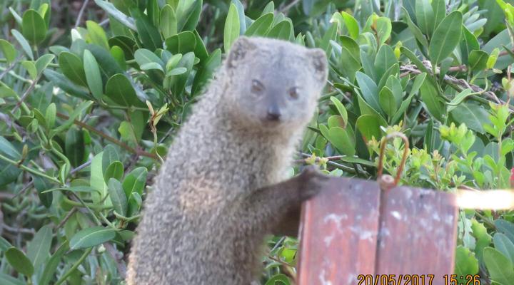 Houtboschbay Honeymoon Suite with Jacuzzi