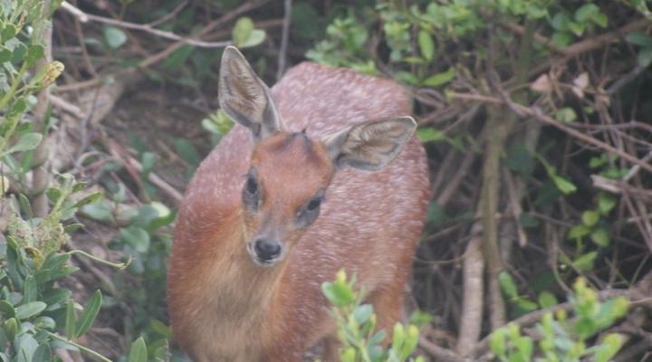 Houtboschbay Honeymoon Suite with Jacuzzi