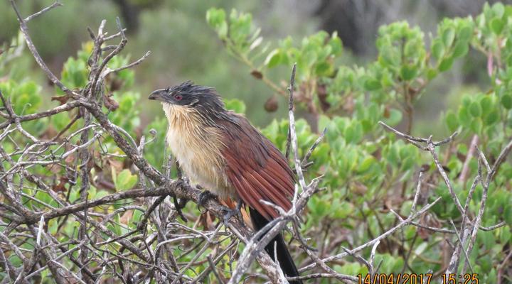 Houtboschbay Honeymoon Suite with Jacuzzi