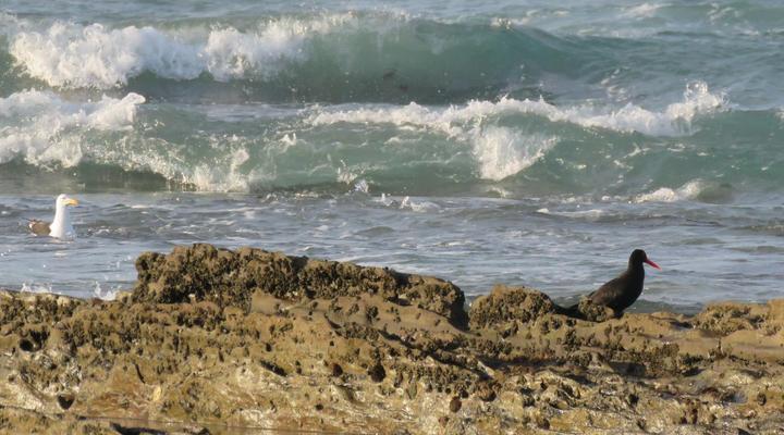 Houtboschbay Honeymoon Suite with Jacuzzi