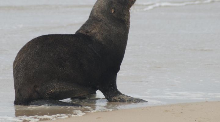 Houtboschbay Honeymoon Suite with Jacuzzi