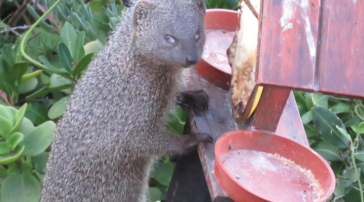 Houtboschbay Honeymoon Suite with Jacuzzi