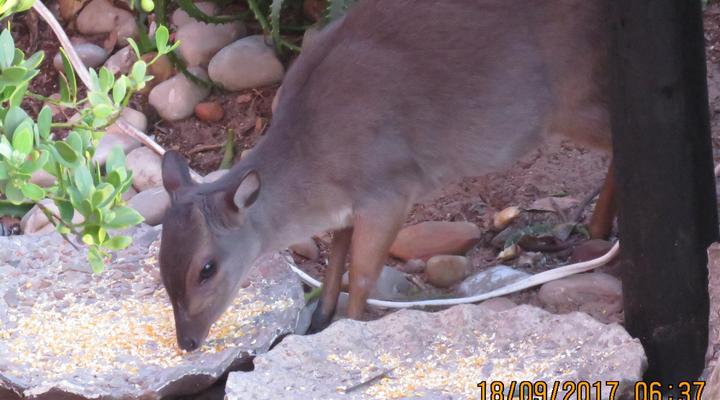 Houtboschbay Honeymoon Suite with Jacuzzi