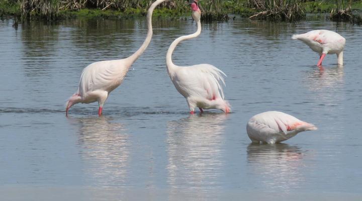 Houtboschbay Honeymoon Suite with Jacuzzi