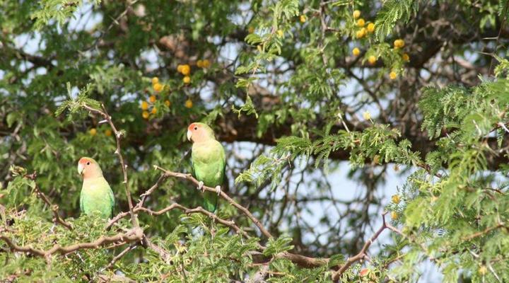 Etango Ranch Guest Farm