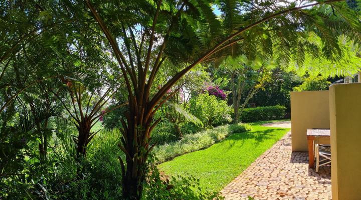 La Luna @ Misty Mountains