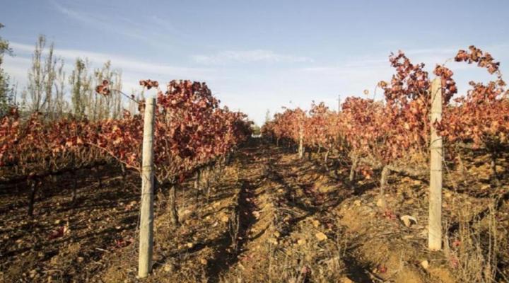 Beaumont Wines Accommodation