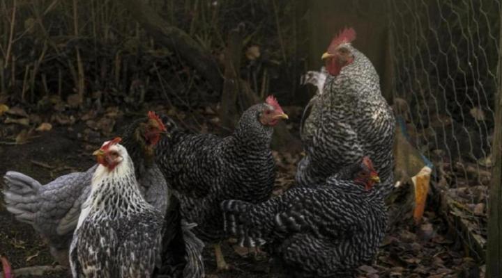 Beaumont Wines Accommodation