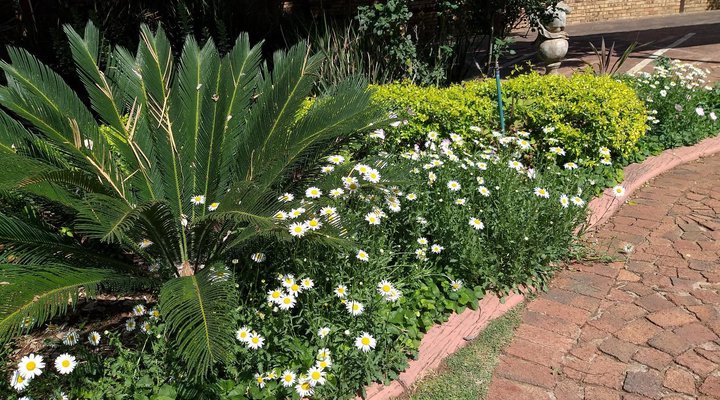 Harmony Place Bed and Breakfast