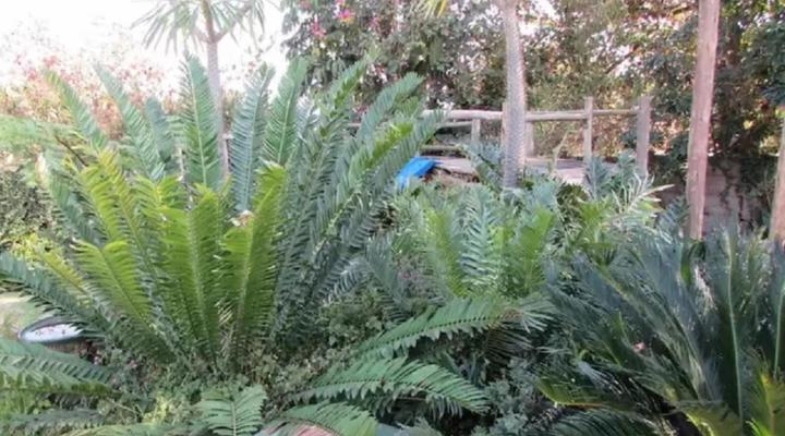 Matt's Rest B&B & Self-catering