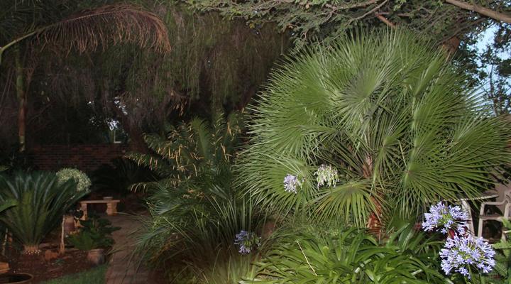 Fourie Street 199 Bed and Breakfast