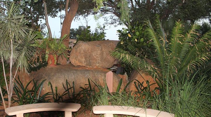 Fourie Street 199 Bed and Breakfast