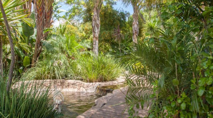 D’Urbanmist Guest House