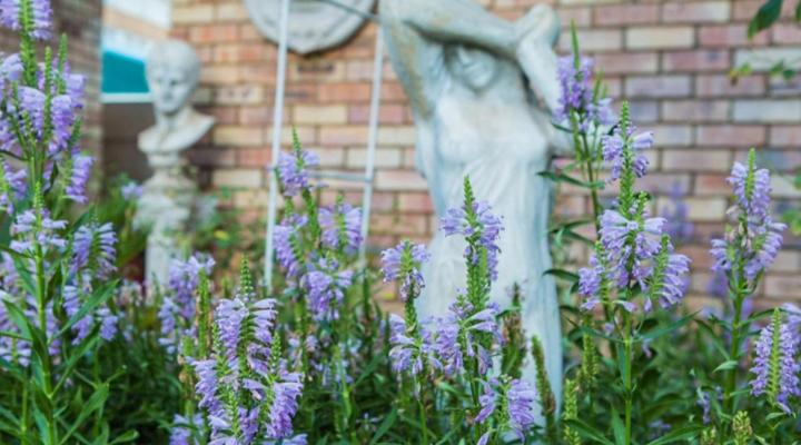 Alec Wright Guest House