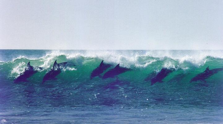 Diaz 15 House on the Bay