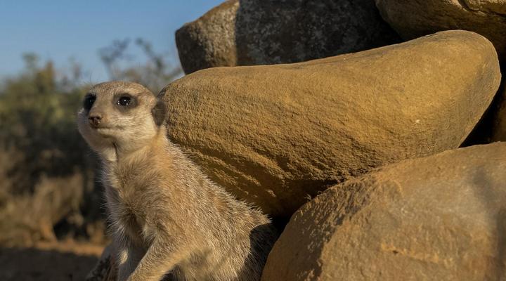 Kudu Ridge Game Ranch