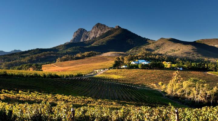 Marianne Wine Estate