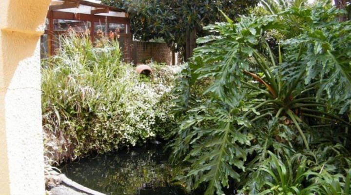 Mountain View Guest House