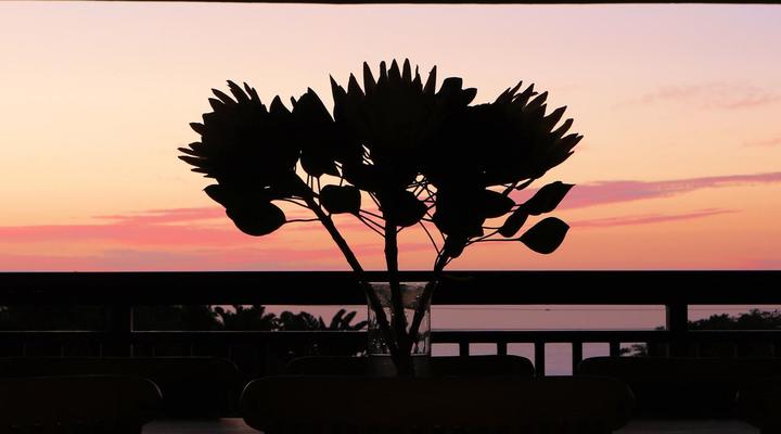 Lavender Moon Guest House