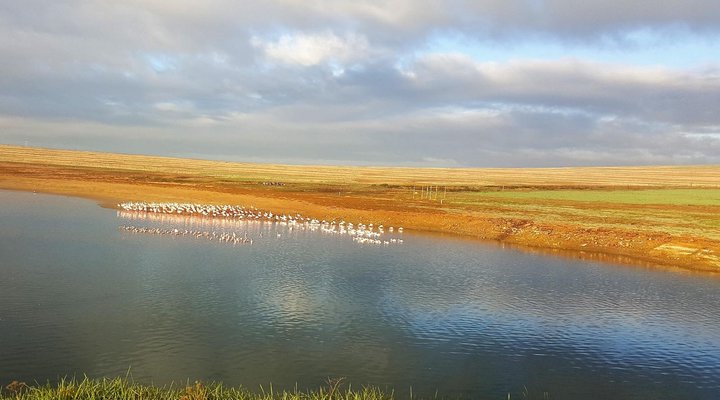 Klein Eikeboom Cottages