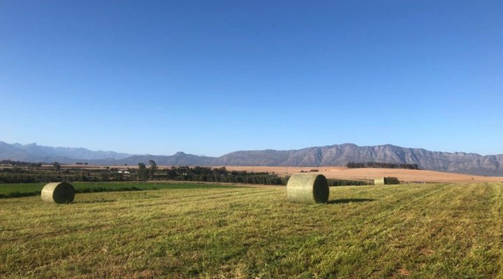 Klein Eikeboom Cottages