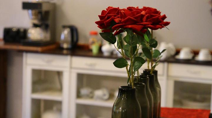 Desert Inn Guest House