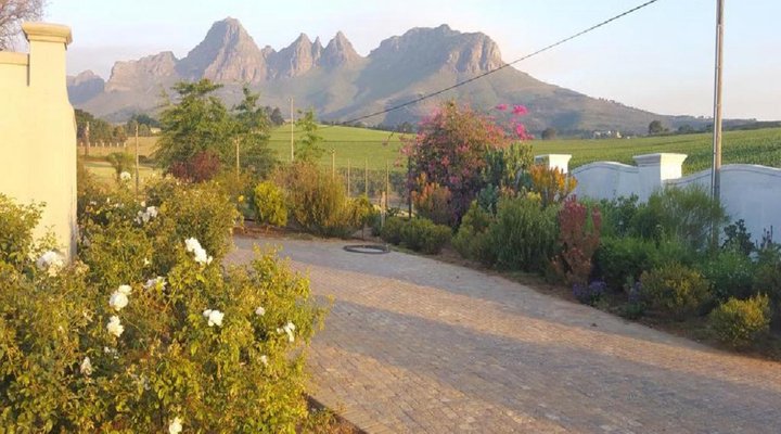 Dieu Donne Stellenbosch