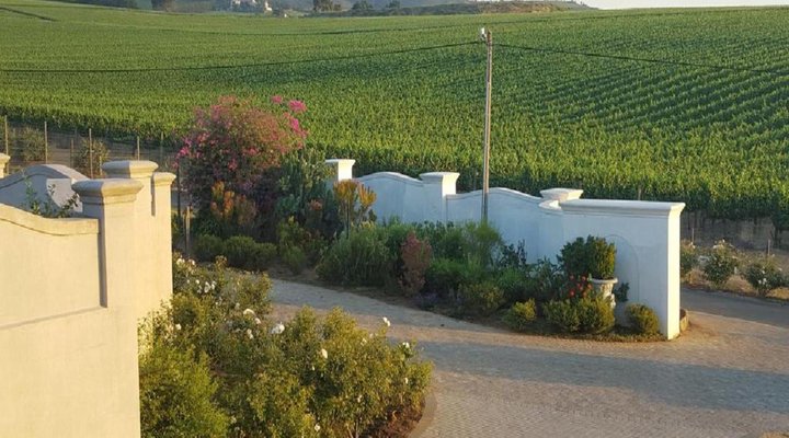 Dieu Donne Stellenbosch