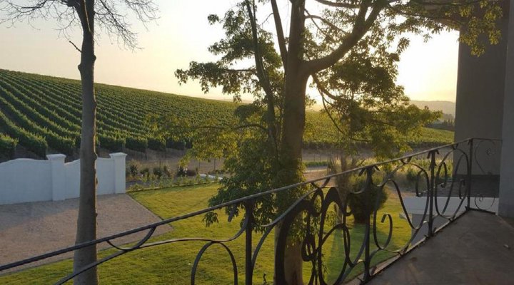 Dieu Donne Stellenbosch